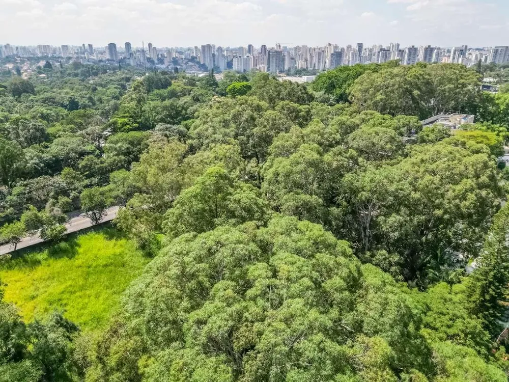 Casa, 4 quartos, 273 m² - Foto 9