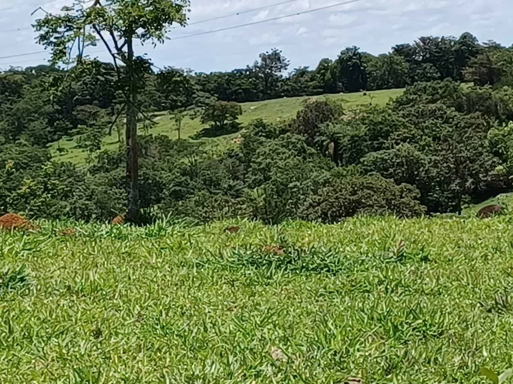 Fazenda, 80 hectares - Foto 11
