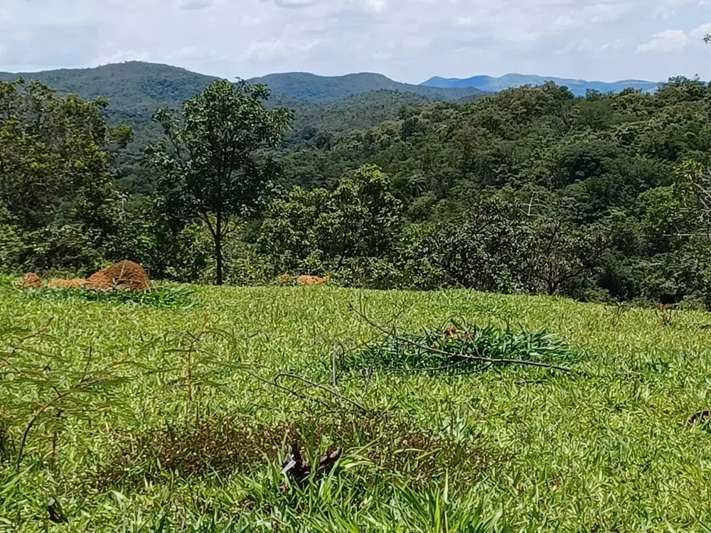 Fazenda, 80 hectares - Foto 16