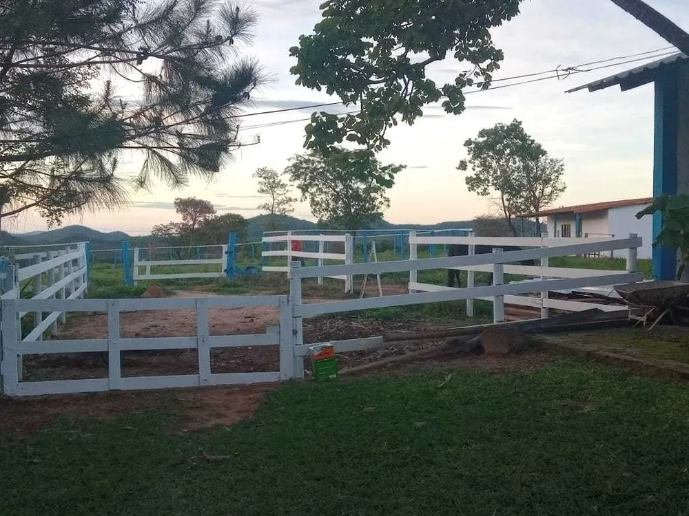 Fazenda, 80 hectares - Foto 10