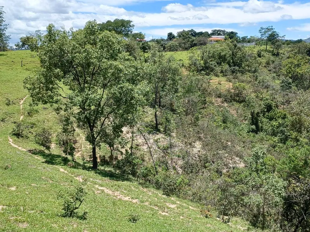 Fazenda, 80 hectares - Foto 13
