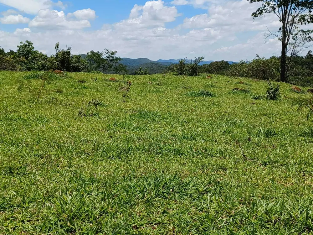 Fazenda, 80 hectares - Foto 8