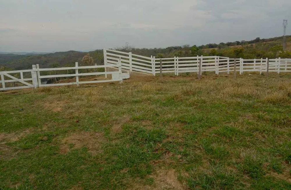 Fazenda, 80 hectares - Foto 9
