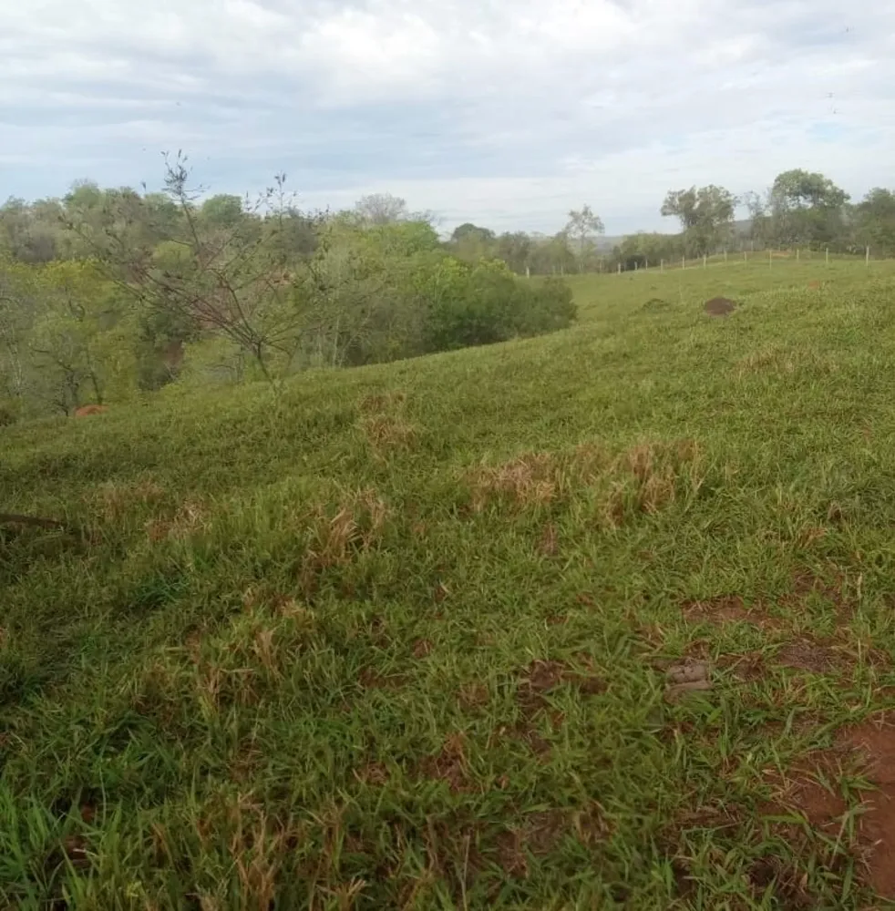 Fazenda, 80 hectares - Foto 4