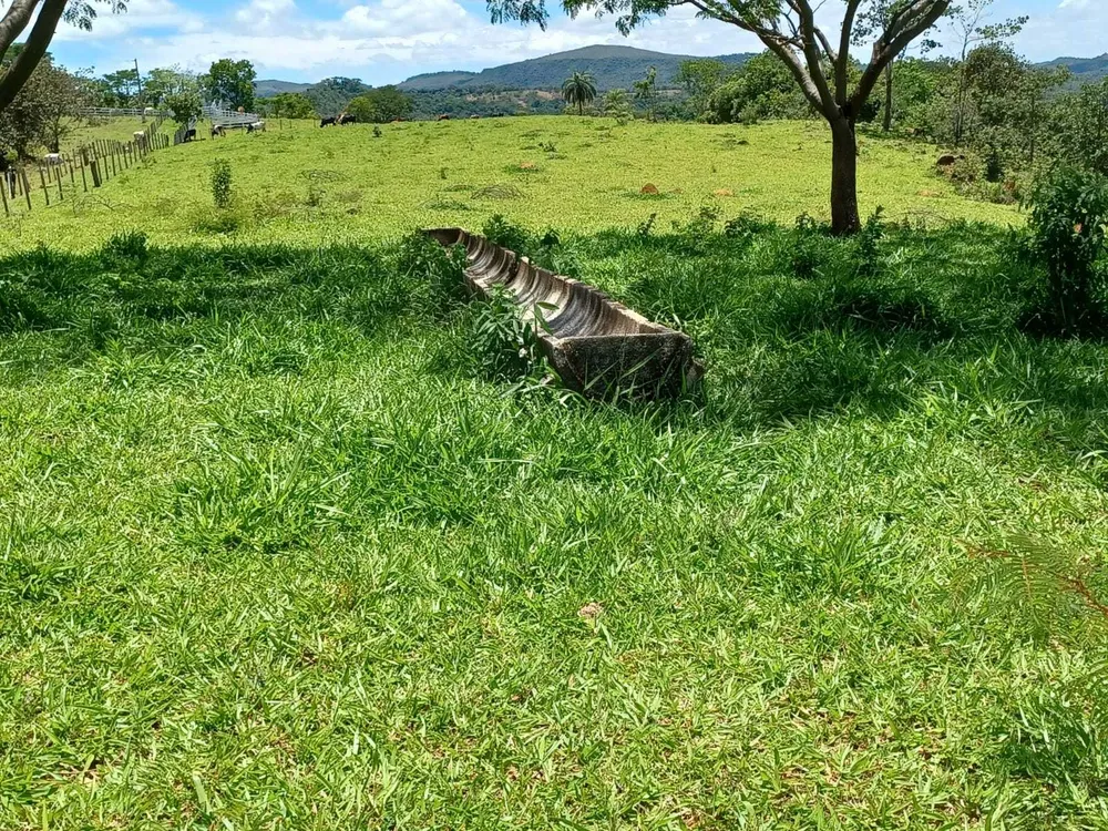 Fazenda, 80 hectares - Foto 5