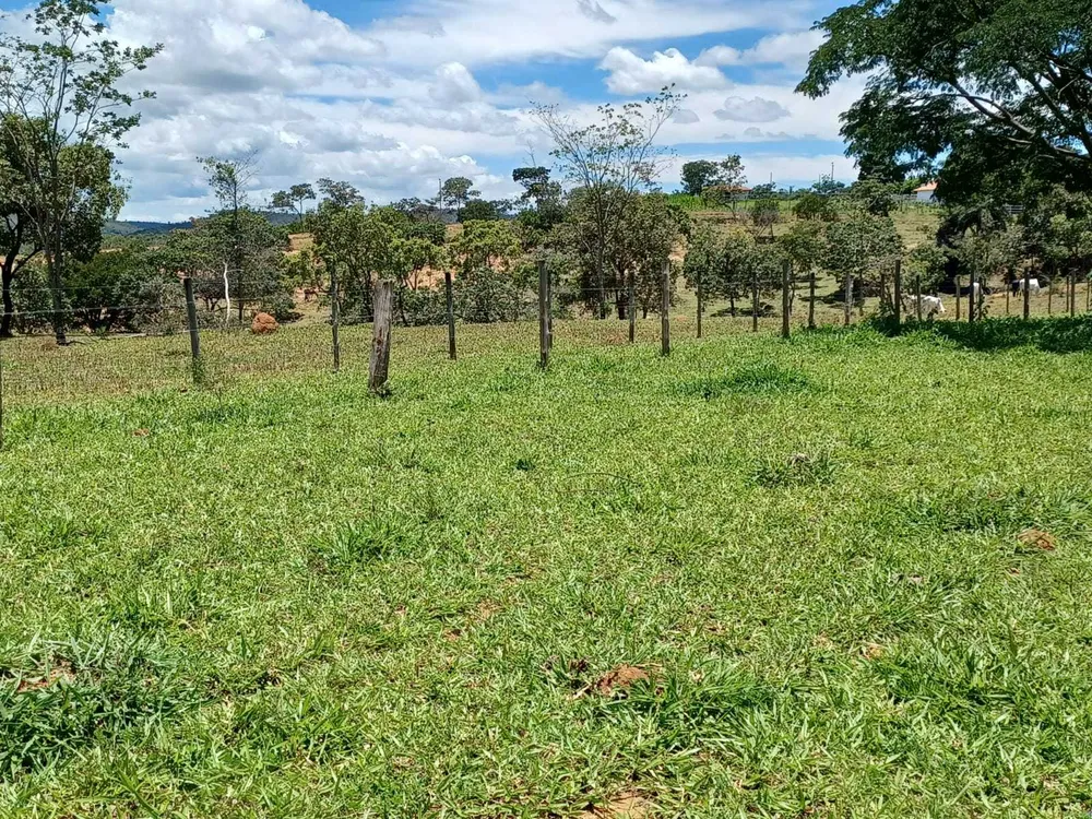Fazenda, 80 hectares - Foto 7