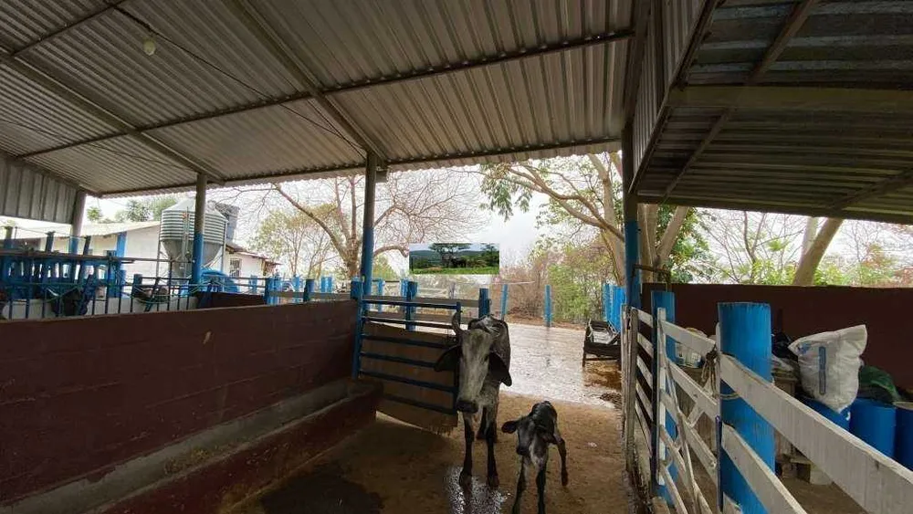 Fazenda, 80 hectares - Foto 20