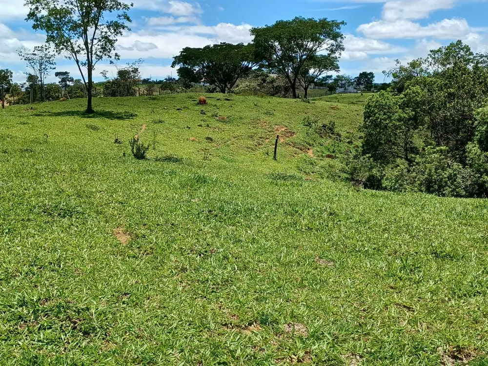 Fazenda, 80 hectares - Foto 1