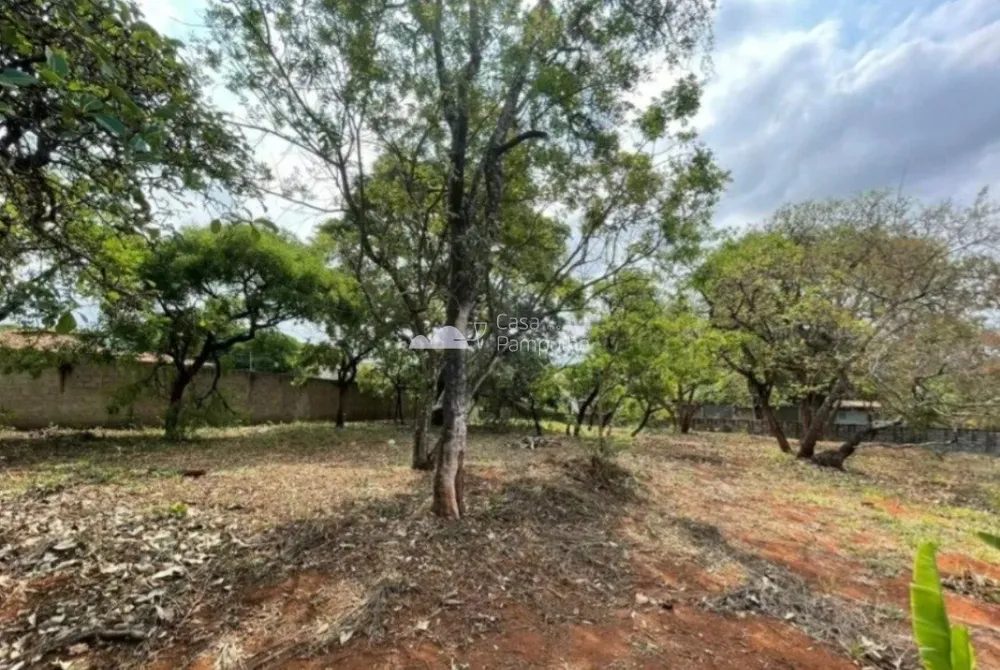 Terreno, 1469 m² - Foto 13