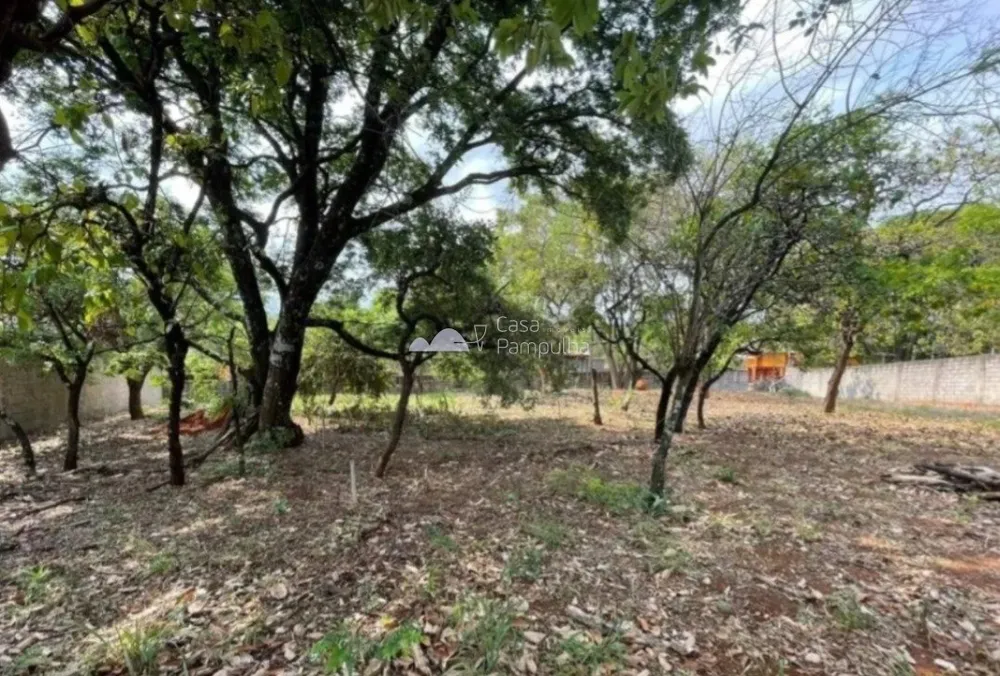 Terreno, 1469 m² - Foto 11