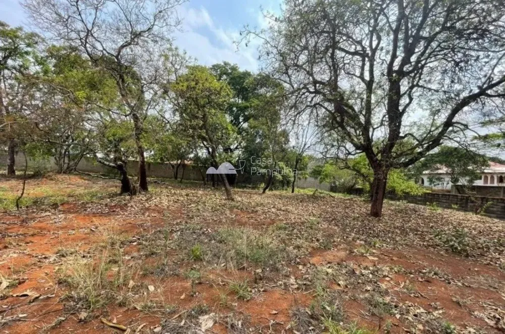 Terreno, 1469 m² - Foto 4