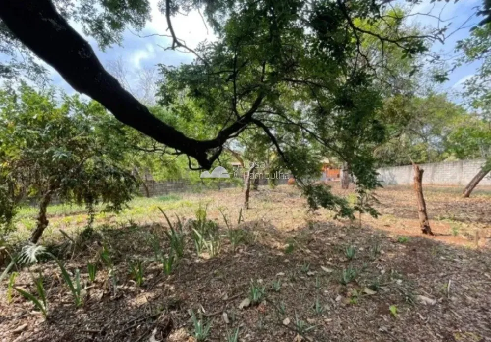 Terreno, 1469 m² - Foto 8