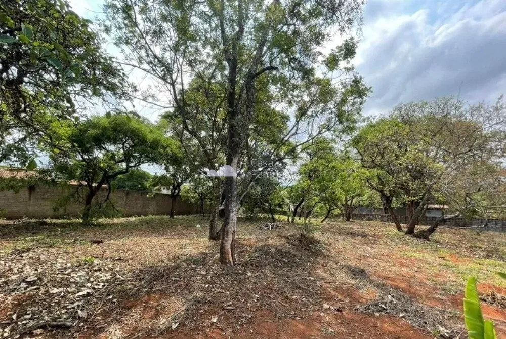 Terreno, 1469 m² - Foto 5