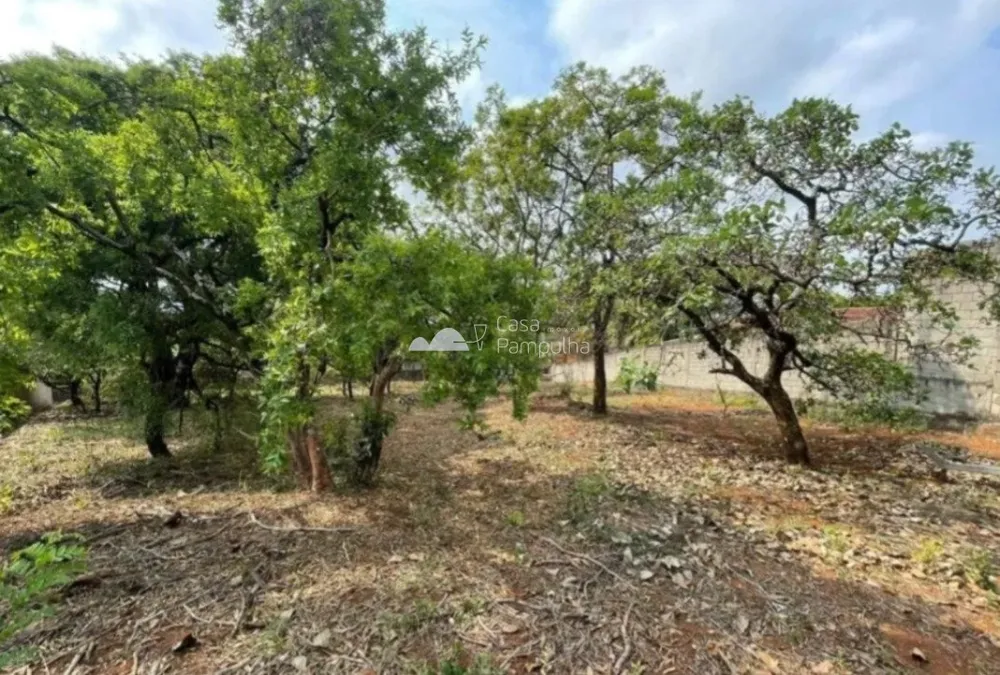 Terreno, 1469 m² - Foto 10