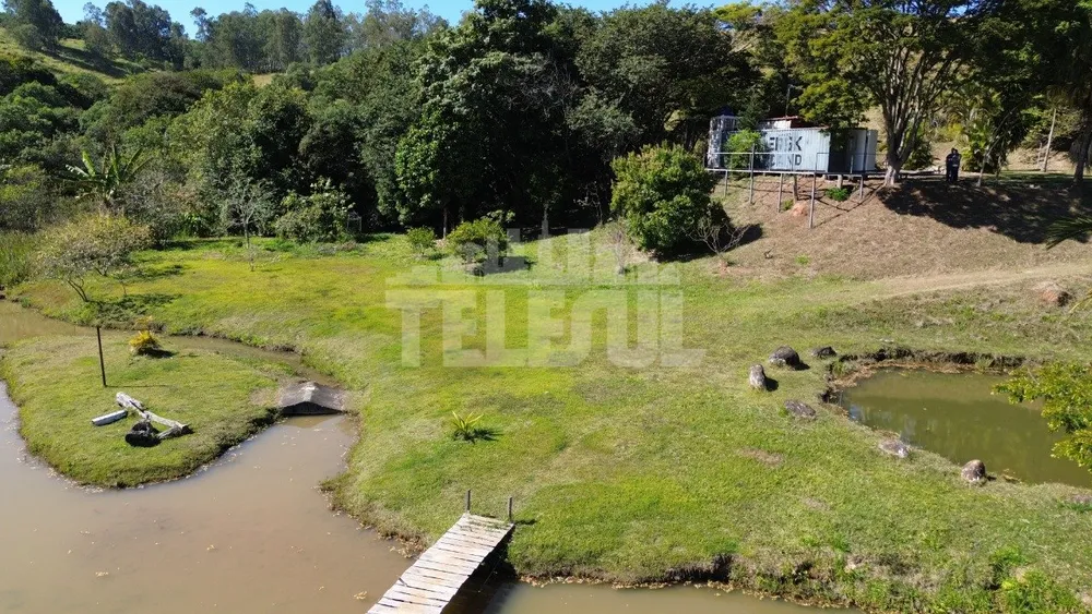 Sítio, 1 quarto, 12100 m² - Foto 3