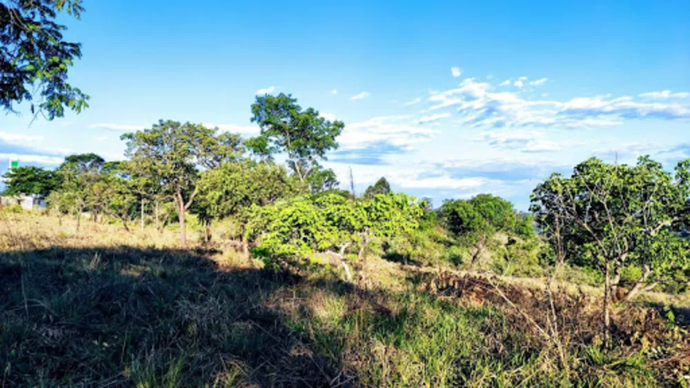 Terreno, 21250 m² - Foto 2