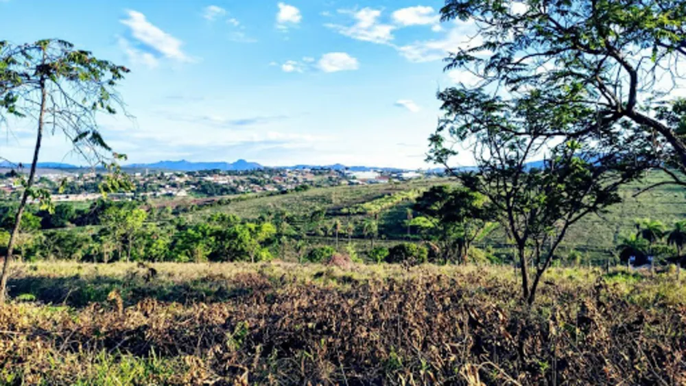 Terreno, 21250 m² - Foto 8