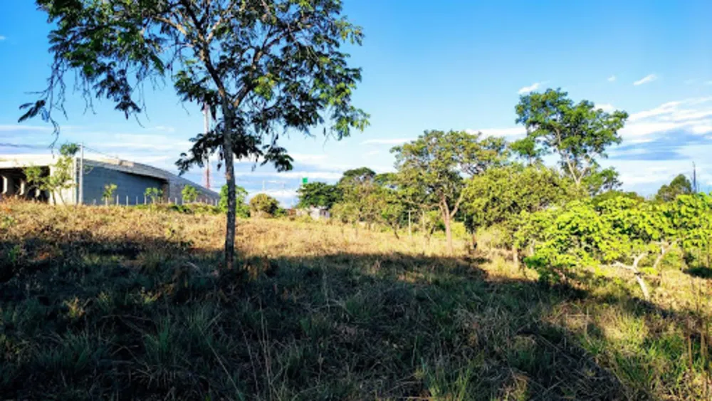 Terreno, 21250 m² - Foto 12