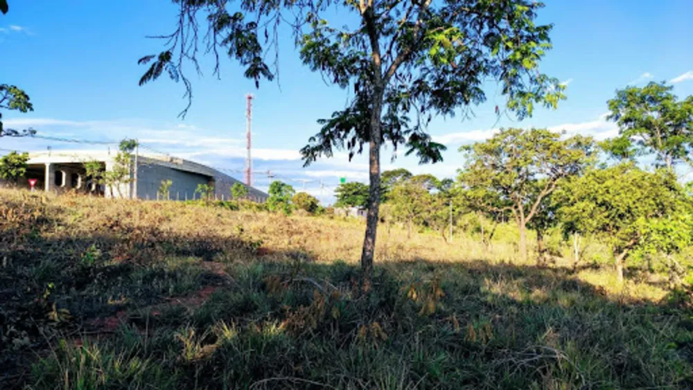 Terreno, 21250 m² - Foto 6