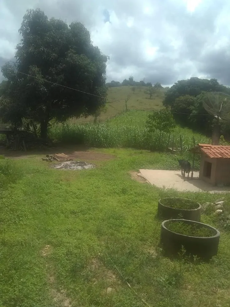 Chácara, 3 quartos - Foto 11