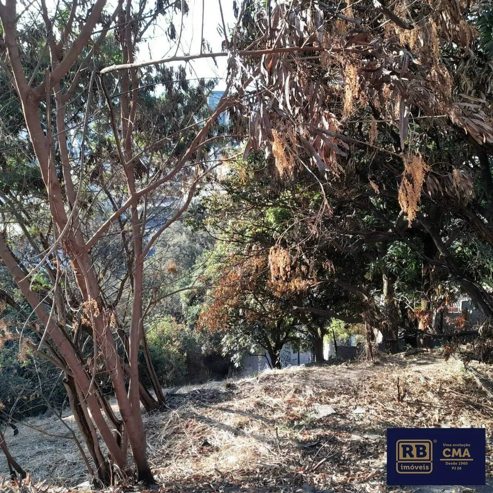Terreno, 480 m² - Foto 6