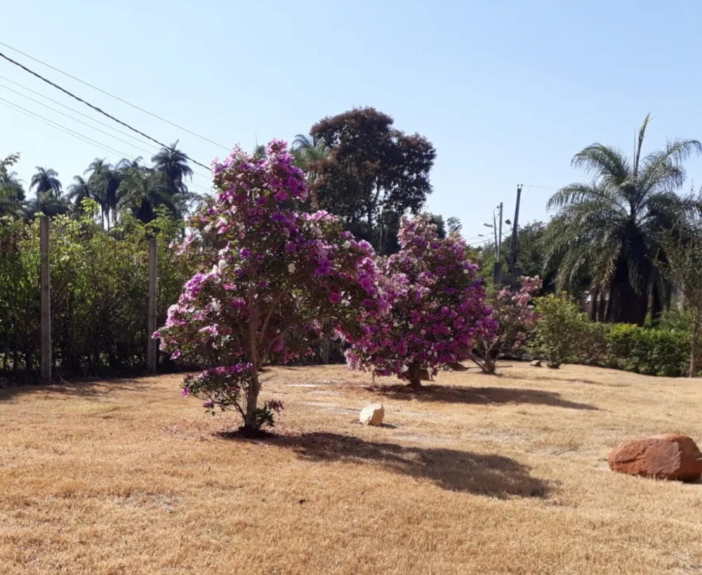 Fazenda, 2 quartos - Foto 12
