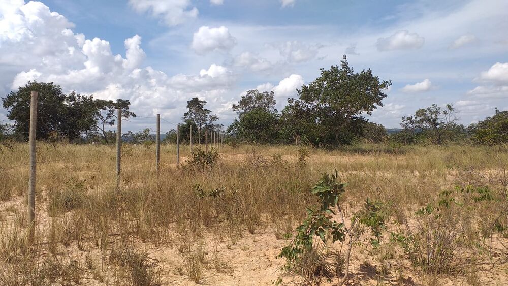 Terreno à venda, 30000m² - Foto 4