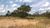 Terreno, 3 hectares - Foto 3