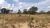 Terreno, 3 hectares - Foto 4