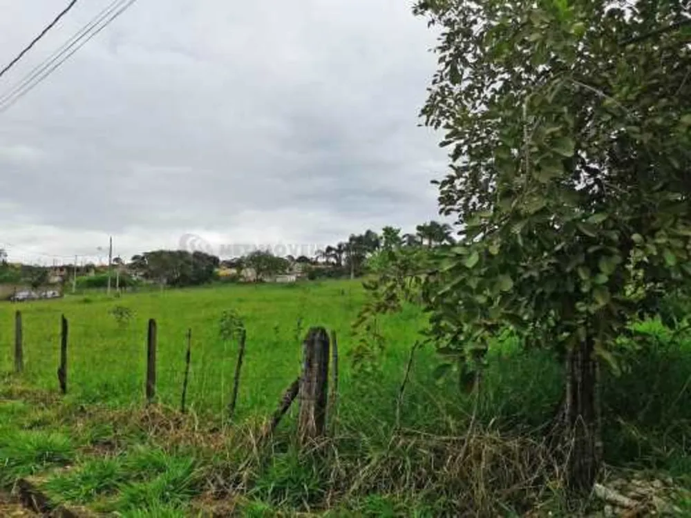 Terreno, 14254 m² - Foto 8