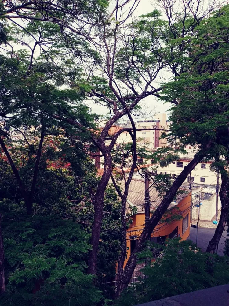 Apartamento, 2 quartos, 80 m² - Foto 3