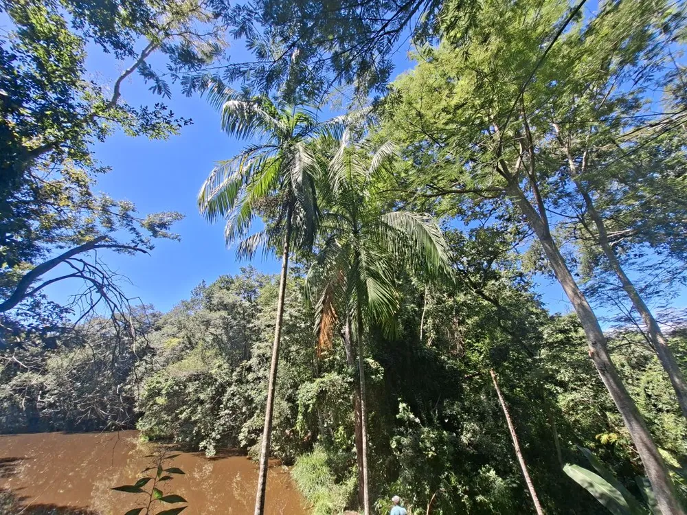 Fazenda, 4 quartos - Foto 23