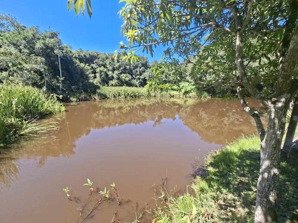 Fazenda, 4 quartos - Foto 11