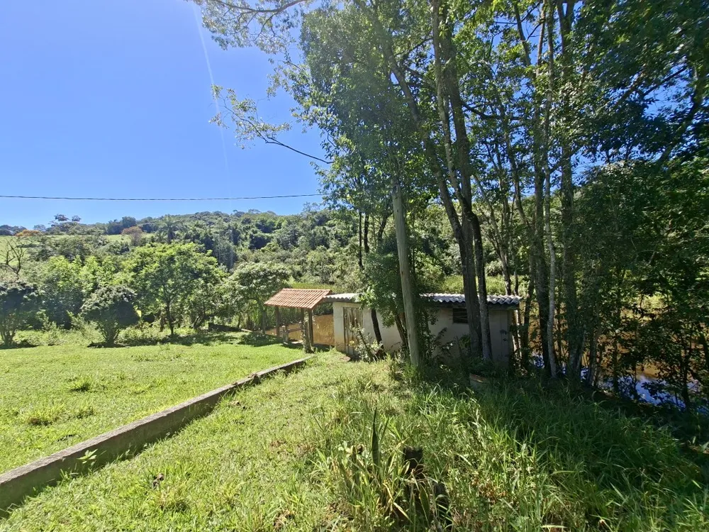 Fazenda, 4 quartos - Foto 8