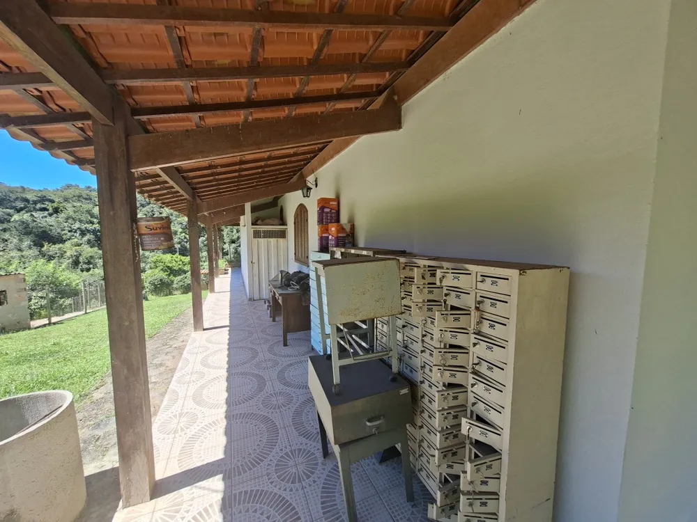 Fazenda, 4 quartos - Foto 2