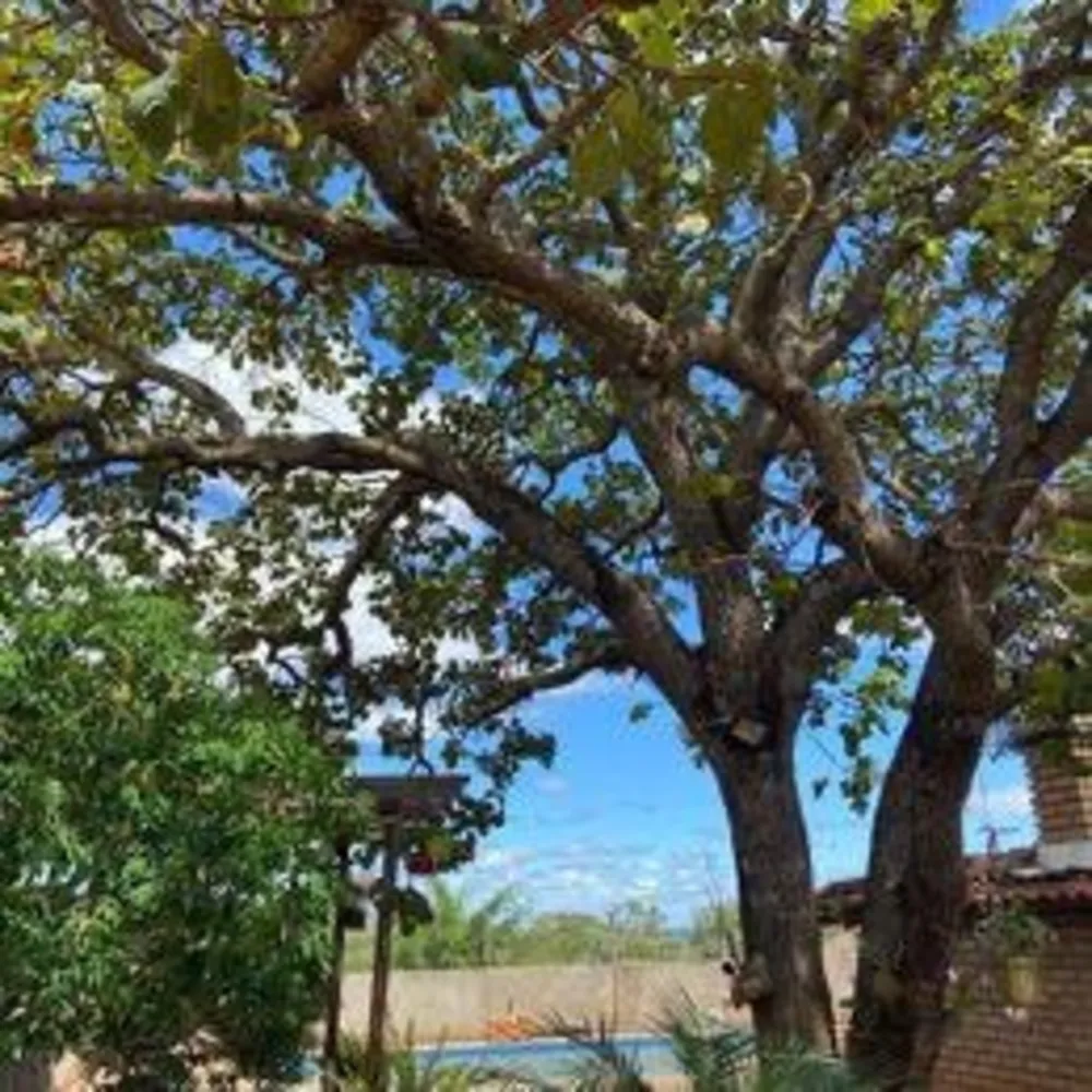 Chácara, 4 quartos, 1300 m² - Foto 8