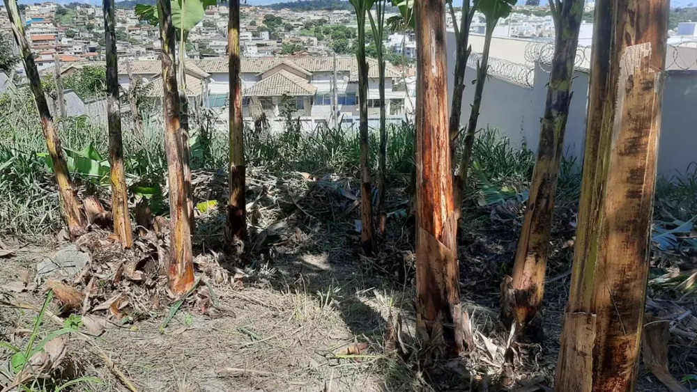 Terreno, 360 m² - Foto 2