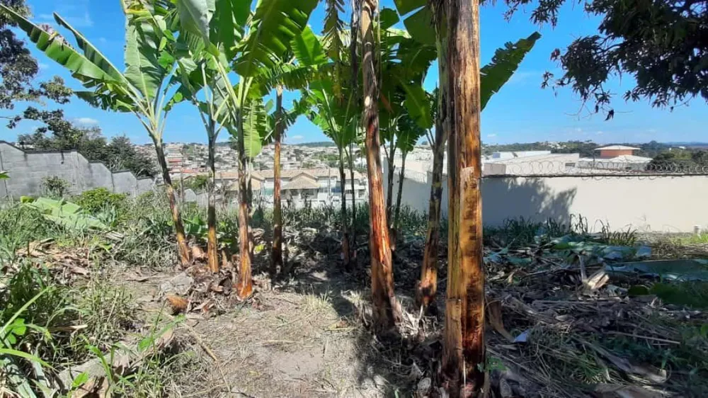 Terreno, 360 m² - Foto 3
