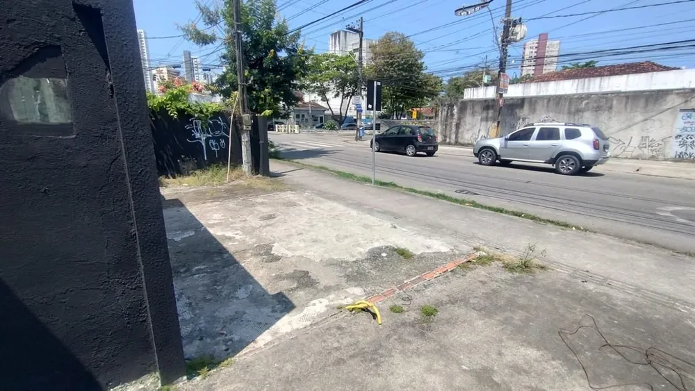 Casa, 4 quartos, 300 m² - Foto 3