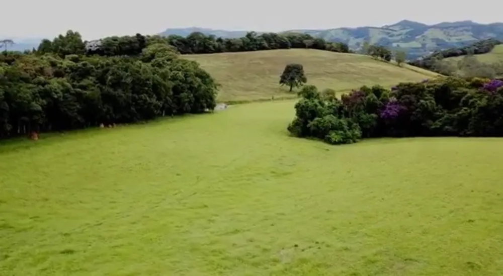 Chácara, 1 quarto, 140 hectares - Foto 15