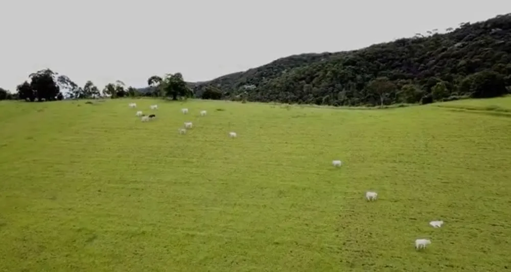 Chácara, 1 quarto, 140 hectares - Foto 10