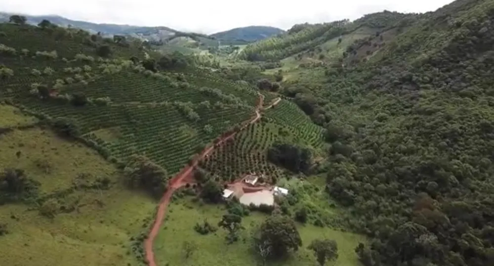 Chácara, 1 quarto, 140 hectares - Foto 13