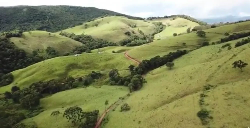 Chácara, 1 quarto, 140 hectares - Foto 12