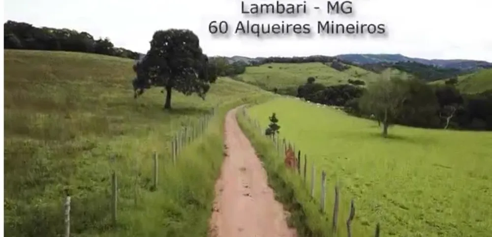 Fazenda, 140 hectares - Foto 10