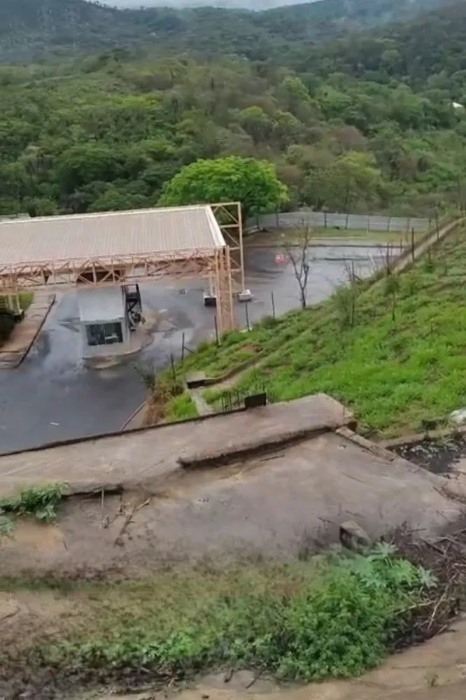 Terreno, 9 hectares - Foto 1
