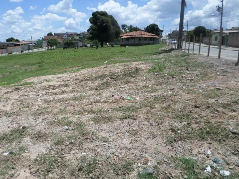 Terreno, 5600 m² - Foto 5