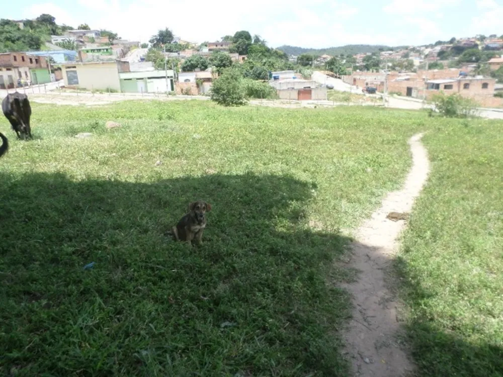 Terreno, 5600 m² - Foto 8