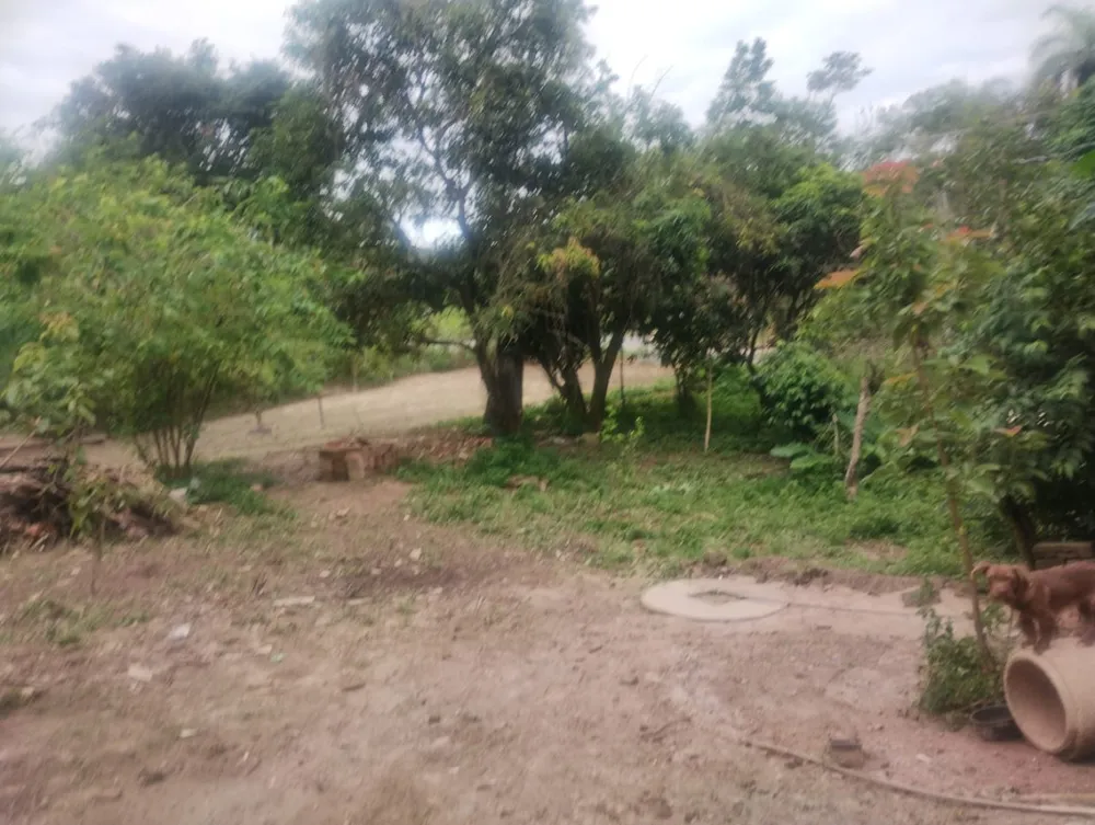 Terreno, 1800 m² - Foto 10