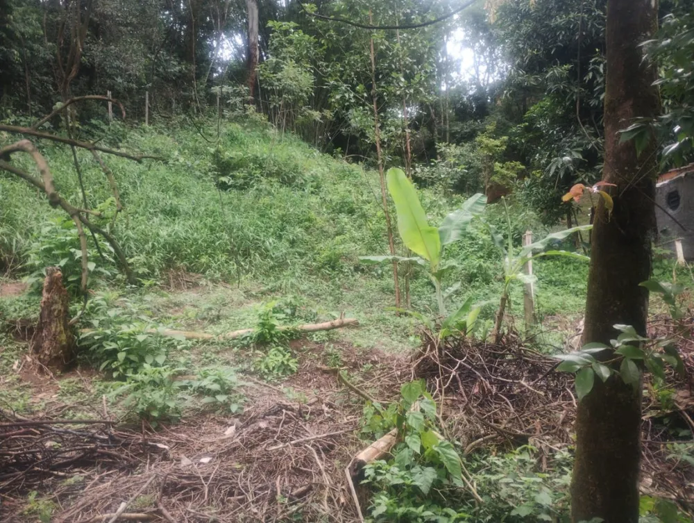 Terreno, 1800 m² - Foto 6