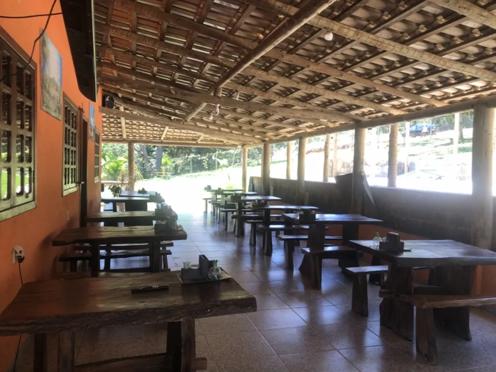 Chácara, 4 quartos, 6000 m² - Foto 6